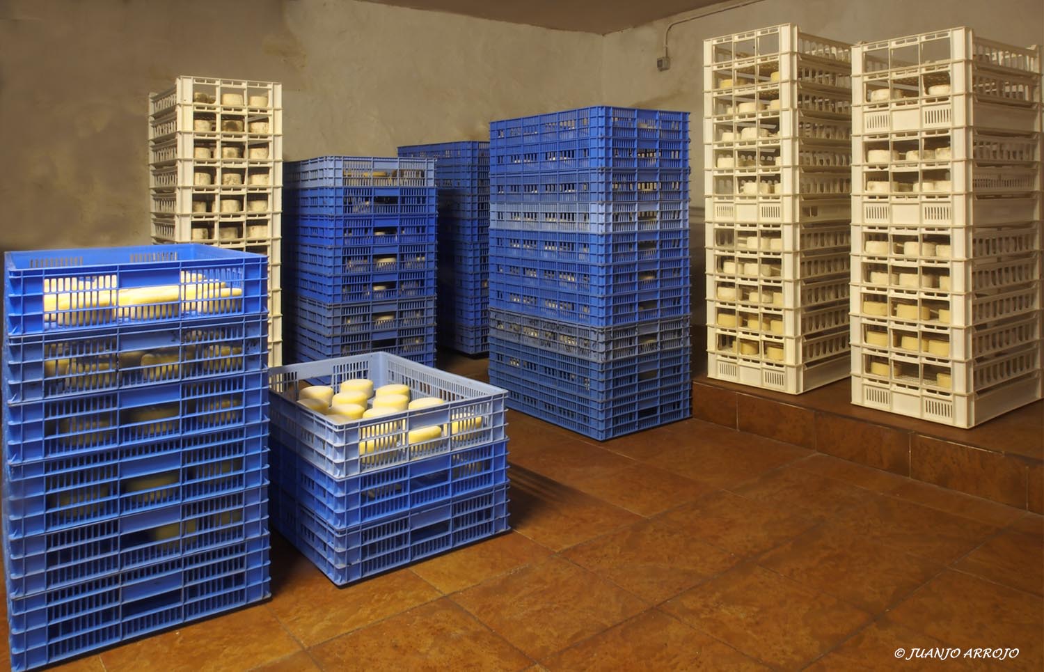 QUESERIA LOS CUETOS-14-B