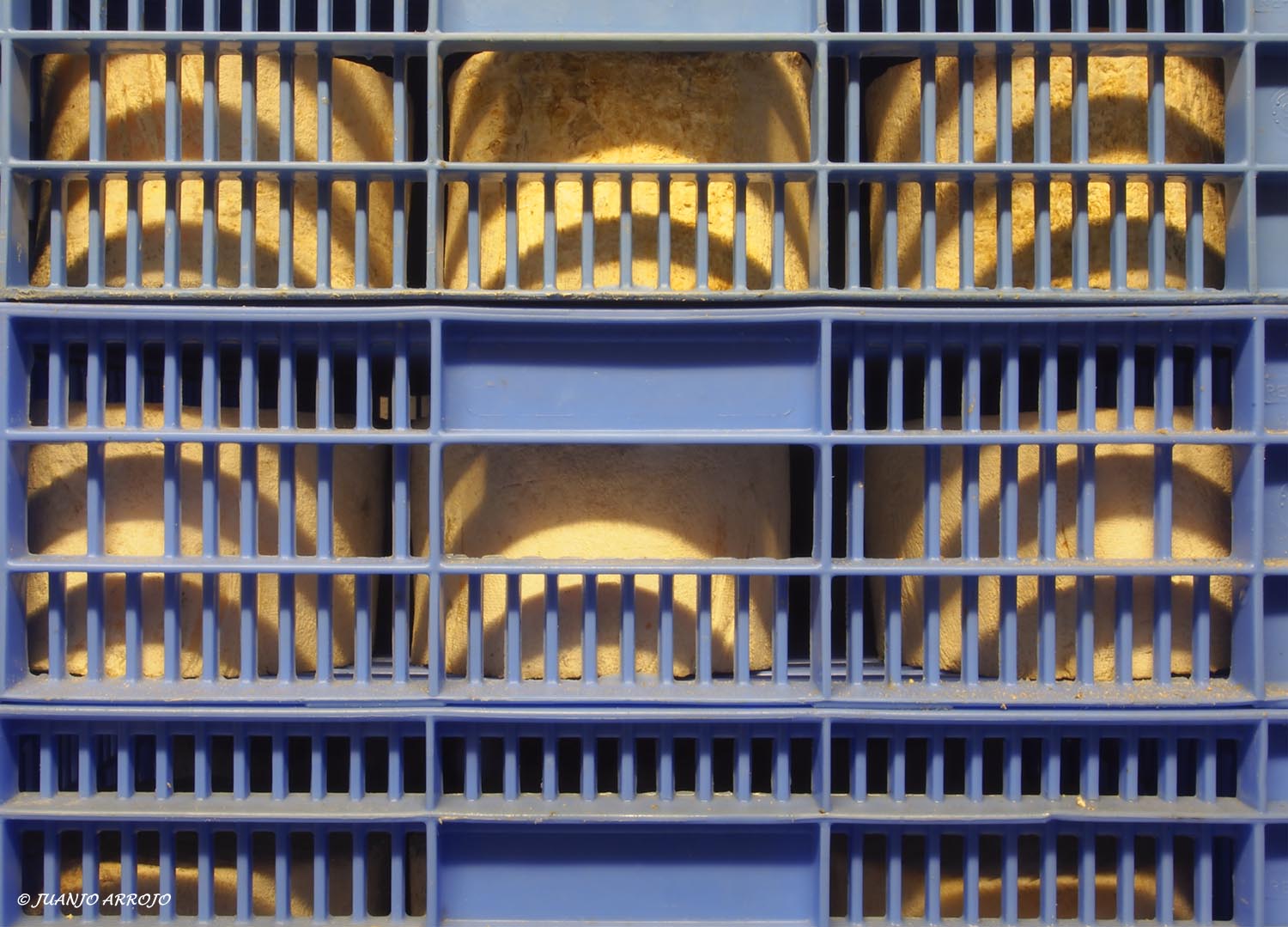 QUESERIA LOS CUETOS-15-B