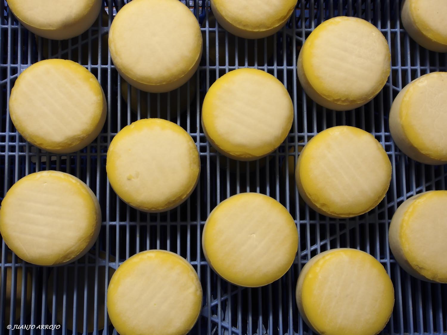 QUESERIA LOS CUETOS-17-B